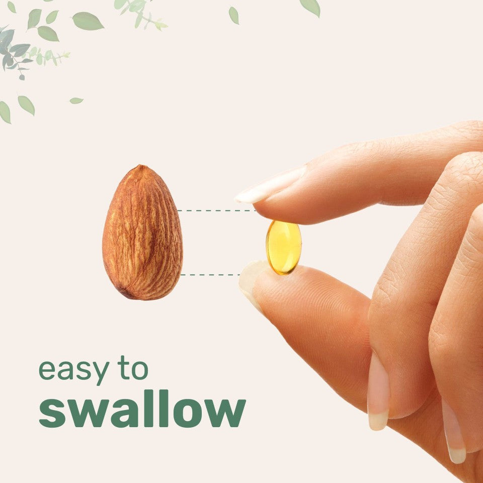 Oregano Oil Soft Capsules Dietary Supplement
